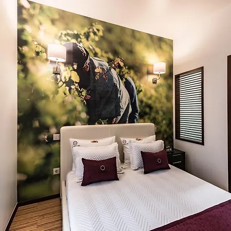 Lounge Guest house
